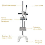 coupe frites vertical professionnel